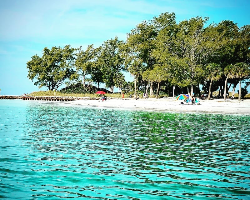 Private Island & Sandbar Boat Charter in Sarasota