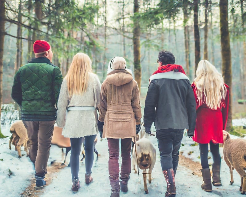 Holiday Goat Hike & Cuddles in Northborough, MA