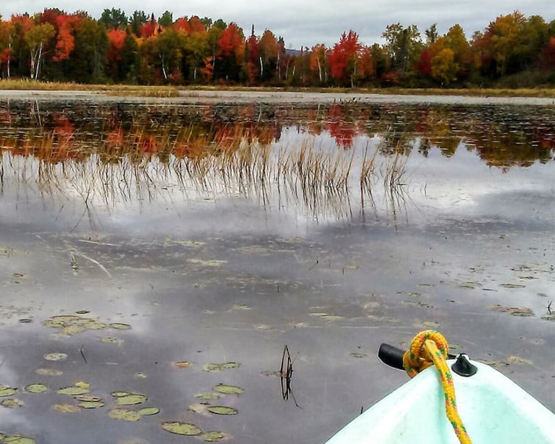 Full-Day Canoe & Kayak Tour in Freedom