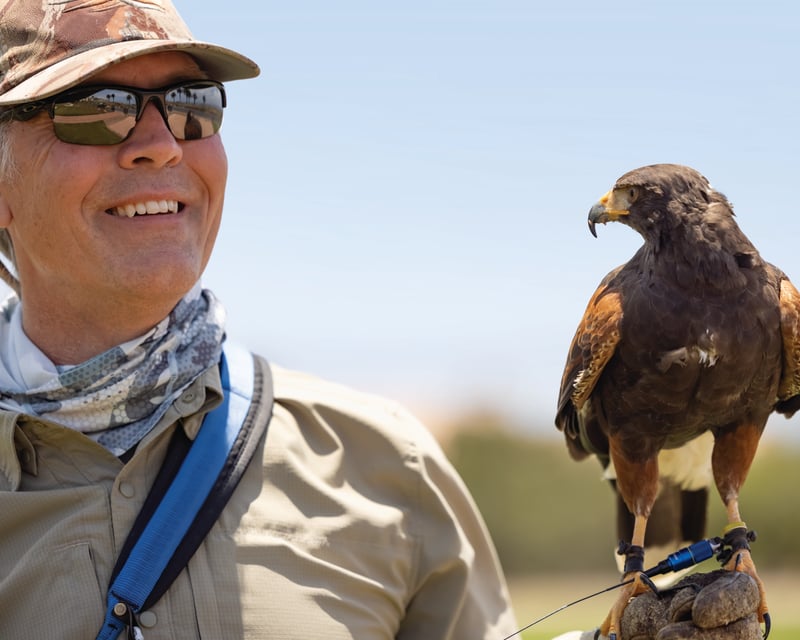 Falconry & Birds of Prey Encounter in Rancho Palos Verdes
