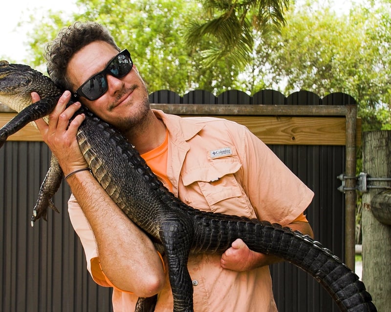 Guided Alligator Feeding Encounter in Homestead