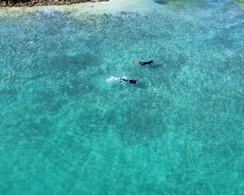 Guided Kayak & Snorkel Tour in North Miami Beach