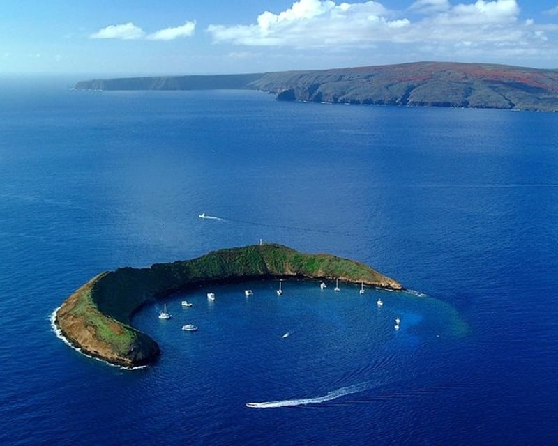 Afternoon Molokini or Coral Gardens Snorkel from Ma'alaea