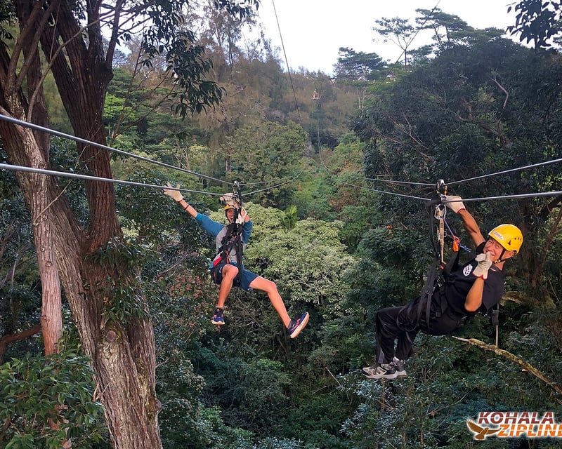 8-Line Zipline Canopy Tour in Hawi, Big Island