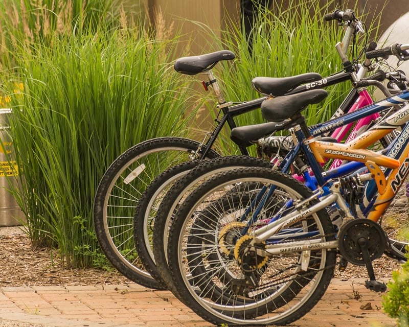 Fat Tire & Cruiser Bike Rental in Ottawa, IL