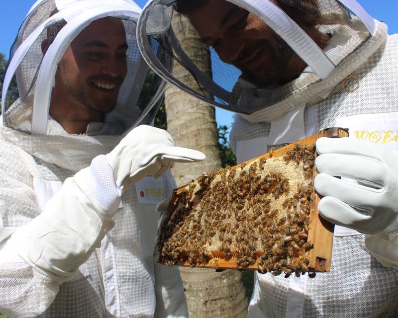 Hands-On Beekeeping Farm Tour near Waipiʻo Valley