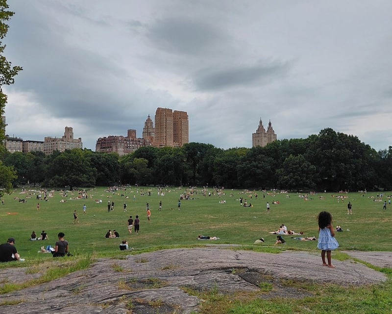 Central Park West Architecture Walking Tour in NYC