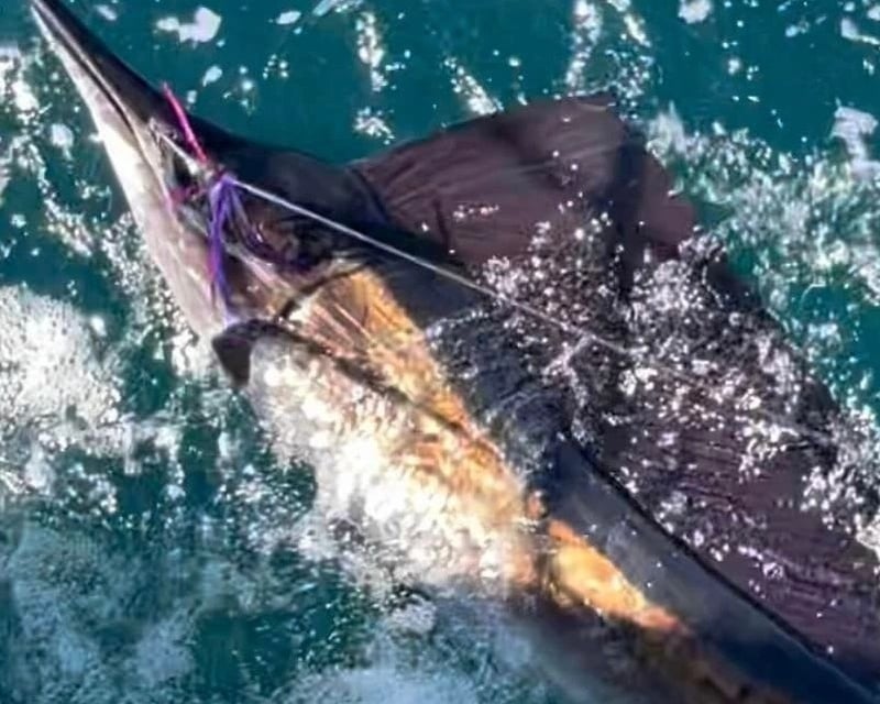 Private 47' Offshore Fishing Charter in Fort Pierce