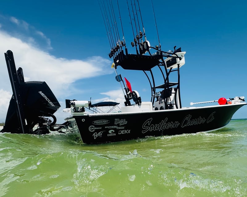 Murrells Inlet 4- or 8-Hour Fishing Charter