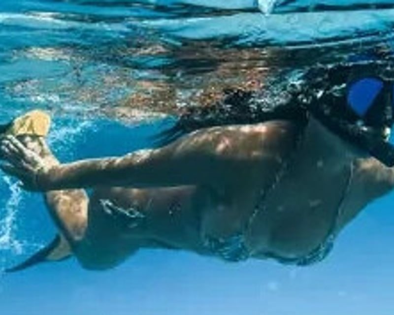 4-Hour Snorkel Charter in Key West