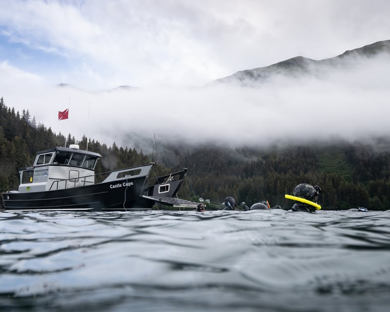 Spearfishing Charter in Homer