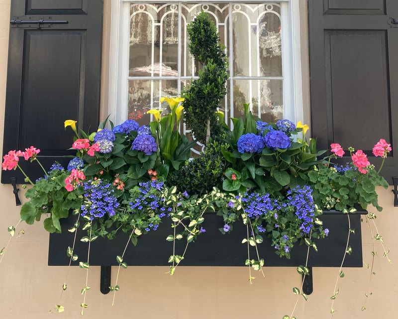 Rainbow Row Guided Walking Tour in Charleston