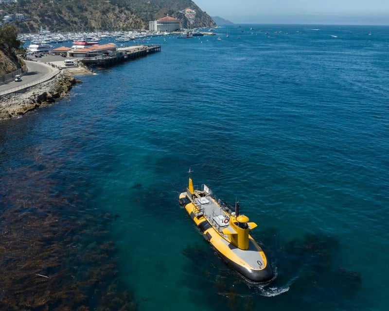 Lover's Cove Semi-Submarine Tour on Catalina Island