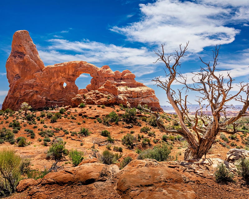 Private Half-Day Arches National Park Hike from Moab