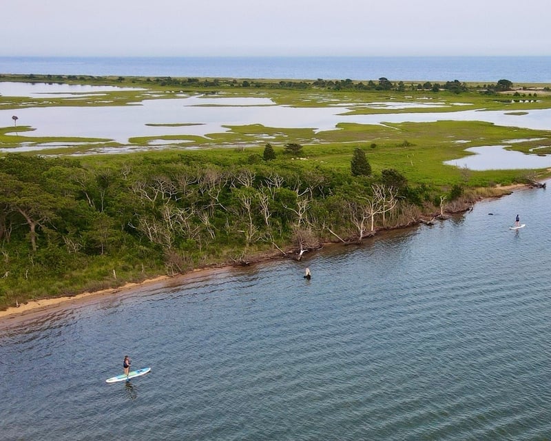 Cape Cod 4-Hour Paddleboard & Kayak Rental