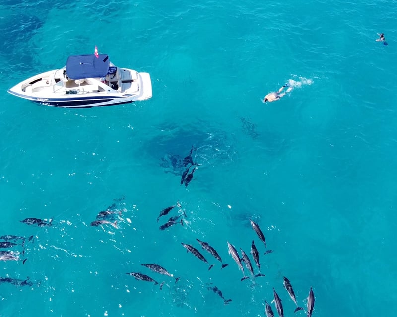Morning Snorkeling Charter in Kona