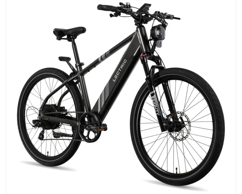 High-Step E-Bike Rental in Lamoine