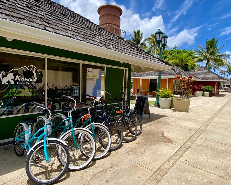 2.5-Hour Bike Rental in Kapa'a