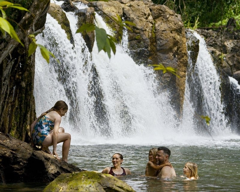 Guided Kīpū Falls & Treehouse Hike on Kauaʻi