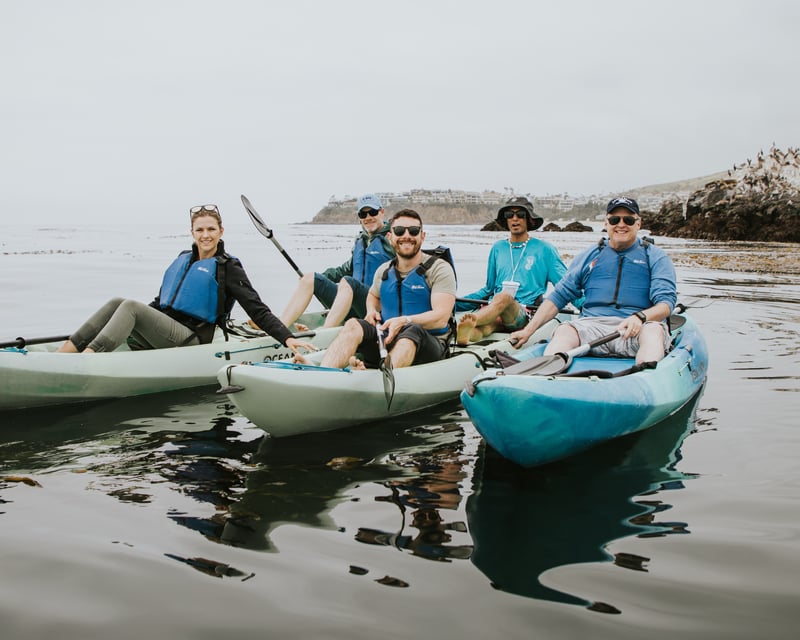Guided Sea Lion Kayak Tour in Laguna Beach