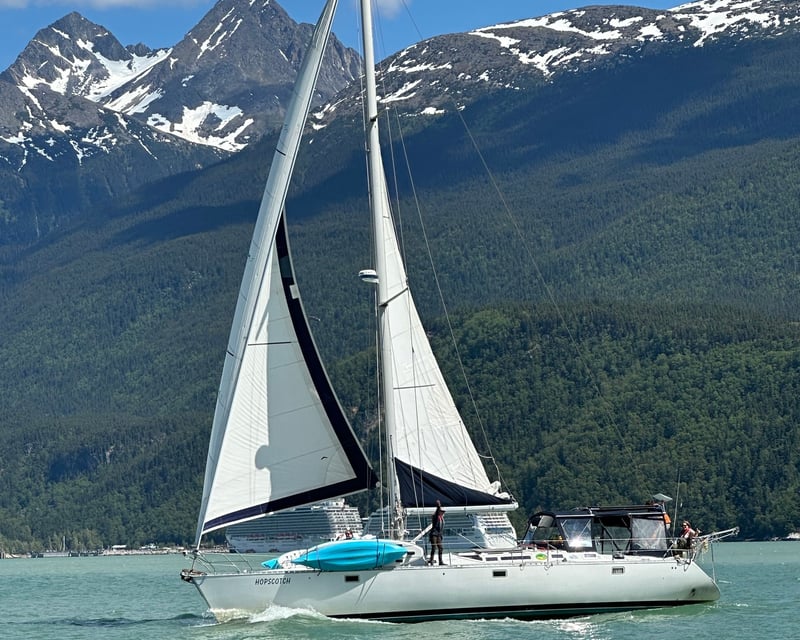 Skagway 2.5-Hour Sailing Adventure