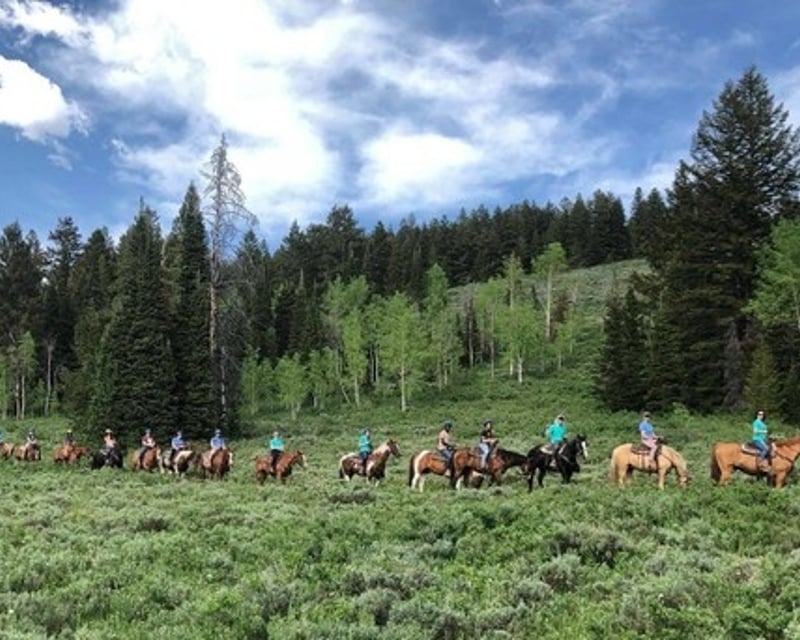 3-Hour Guided Horseback Ride in Logan Canyon
