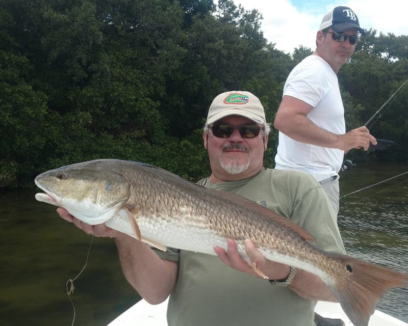 Private Inshore & Tarpon Fishing Charter from Tampa