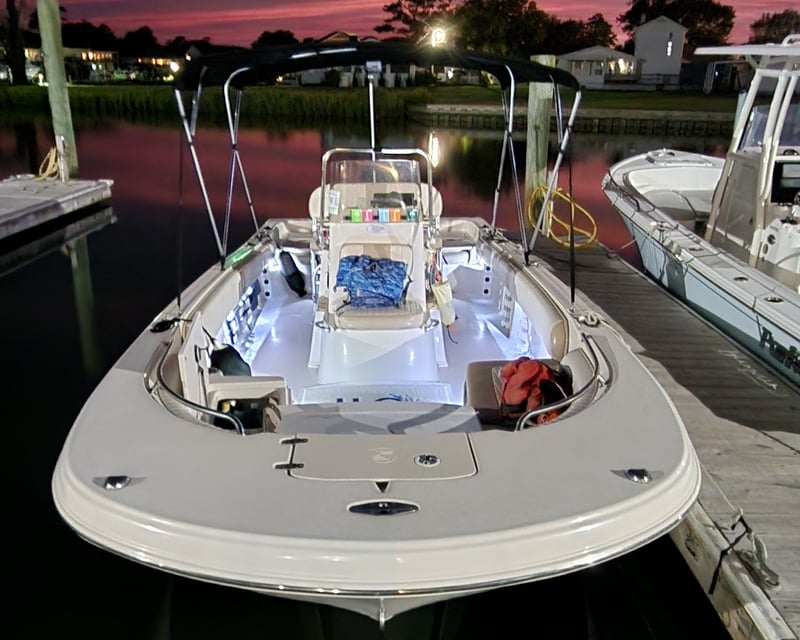 Private Sunset & Dolphin Cruise in Morehead City