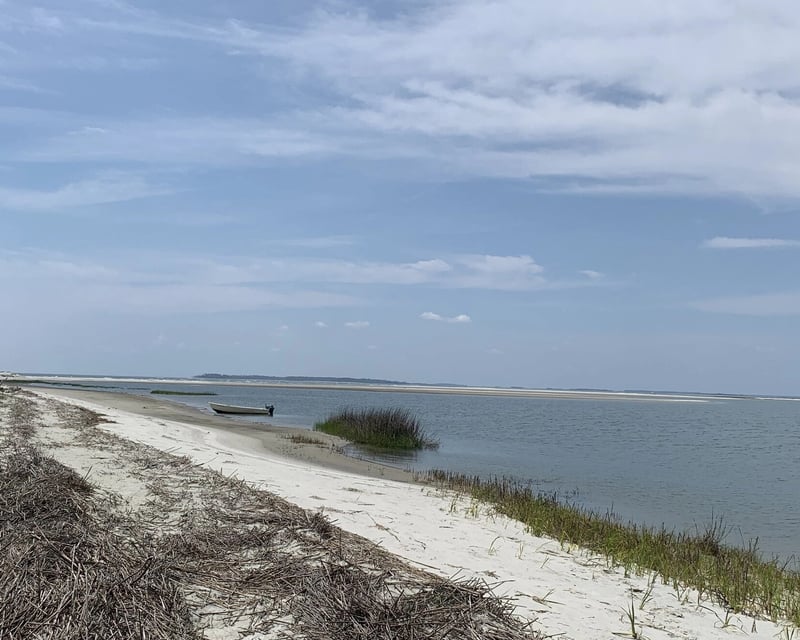 3-Hour Little Tybee Island Guided Tour