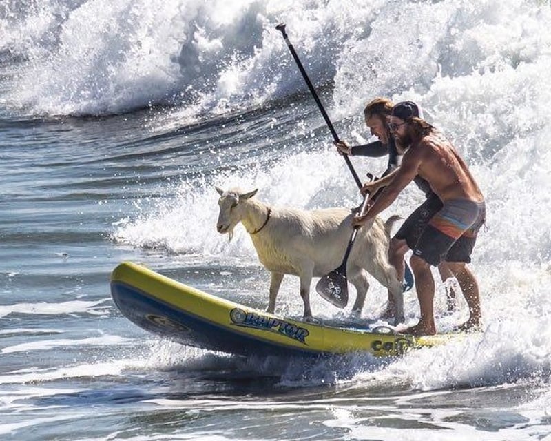 Private Surf or Stand Up Paddle Lesson in Pismo Beach