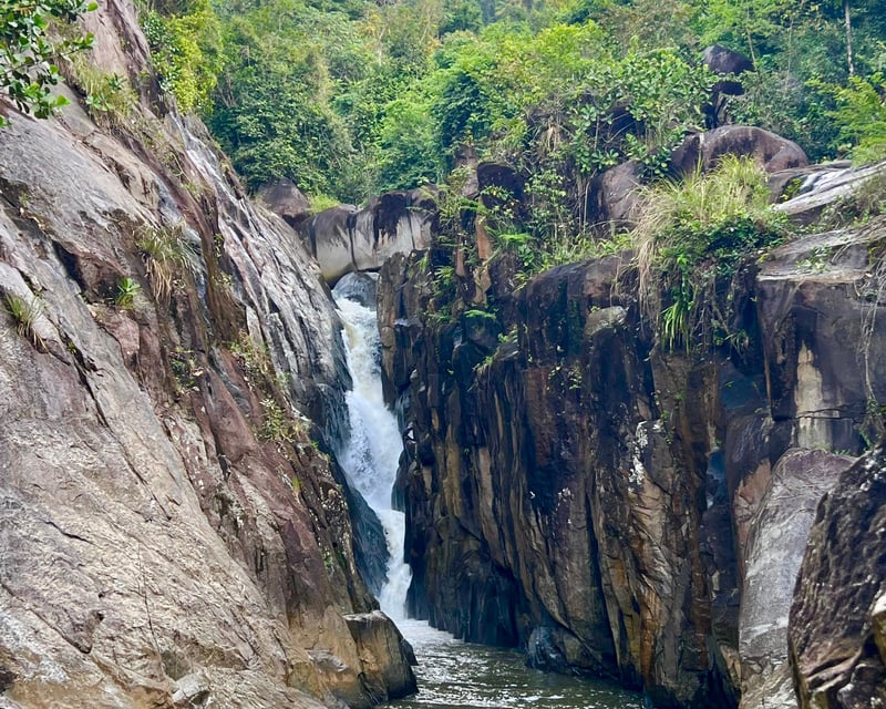 Naguabo Guided Tour With Charco El Hippie