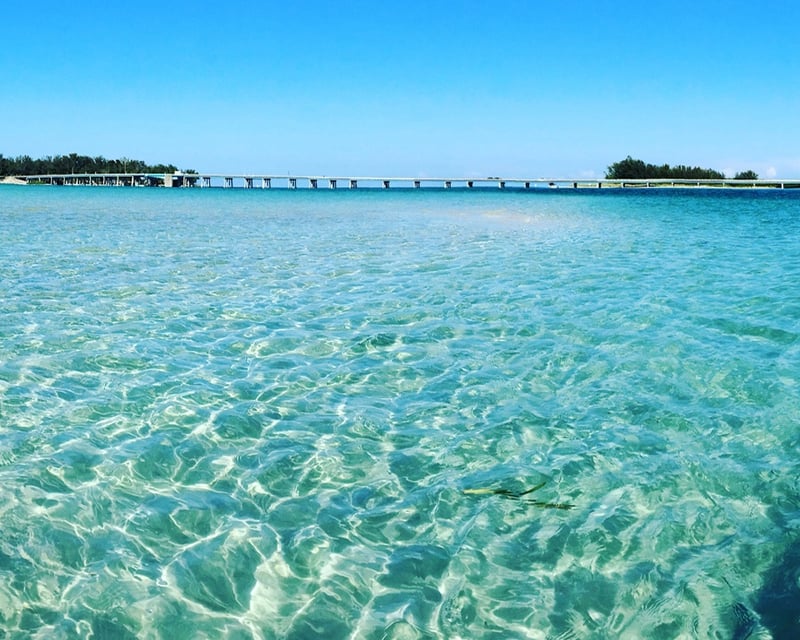 Private Naturalist-Led Kayak Tour in Longboat Key