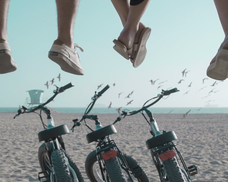 Full-Day Fat Tire E-Bike Rental in Wilmington