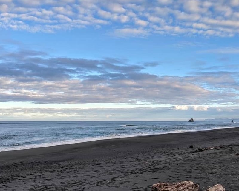 Full-Day Redwoods to Hidden Beach Naturalist Hike in Orick