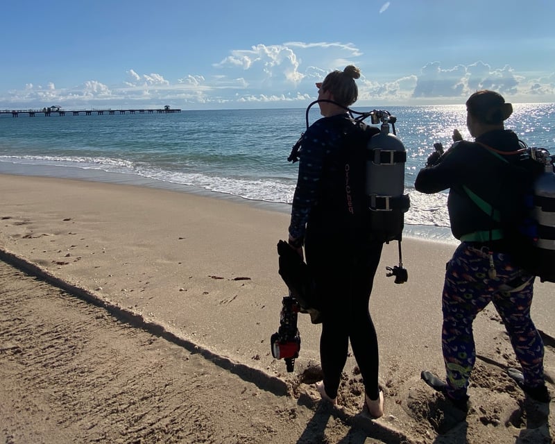 4-Hour Guided Beach Dive in Boca Raton