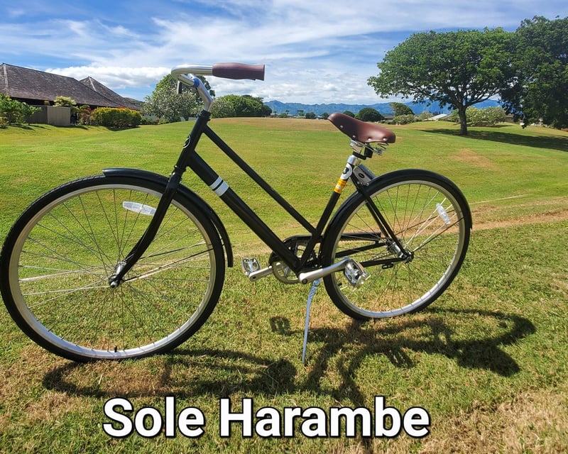8-Hour Bike Rental in Koloa
