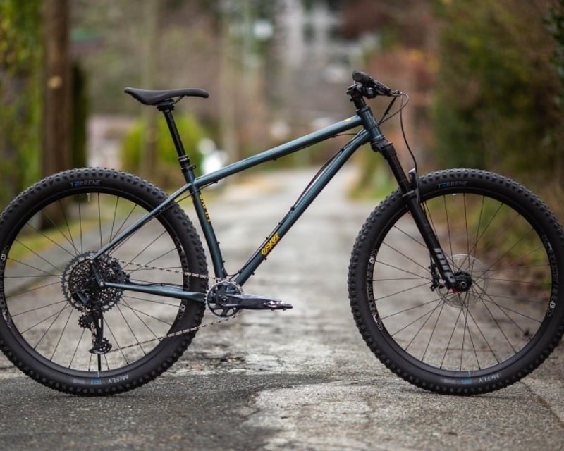 Cuyuna Lakes Extra-Large Hardtail Bike Rental