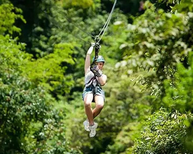Treetop Canopy Tour with 6 Traverses in Tortola