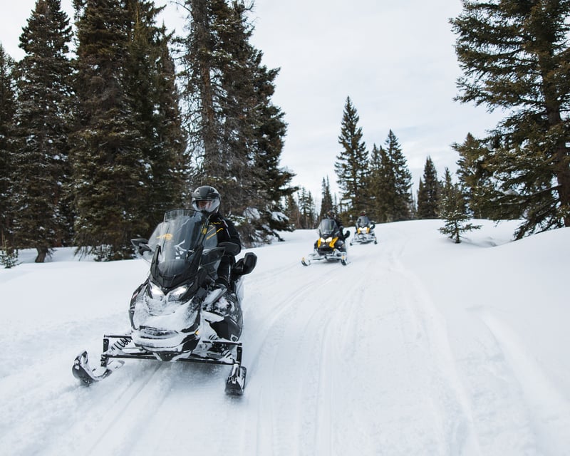 Half-Day Snowmobile Rental in Bridger-Teton National Forest