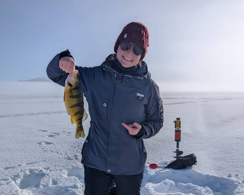 Guided Yellow Perch Ice Fishing on Lake Cascade
