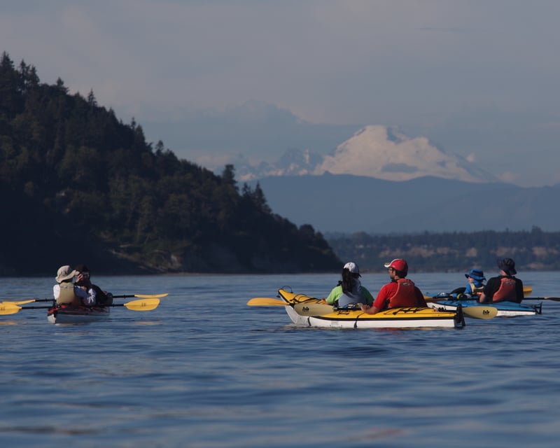 4-Hour Guided Kayak Tour of Whidbey Island
