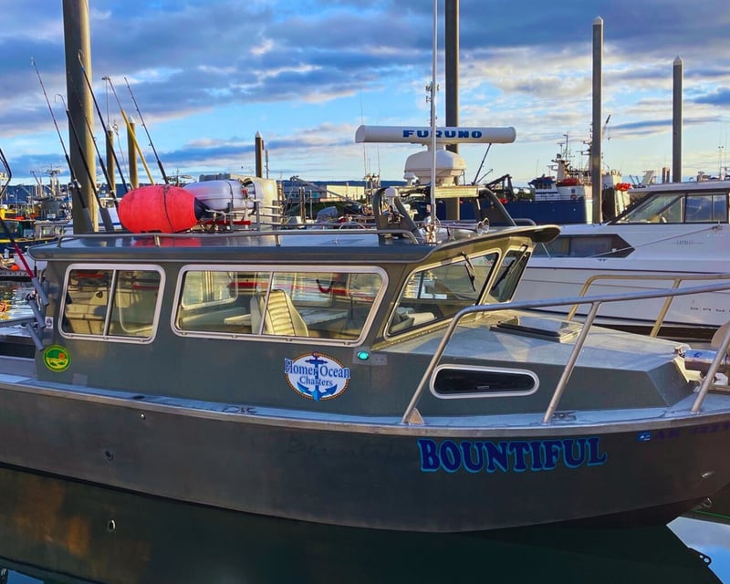 Full-Day Multi-Species Fishing Charter in Homer