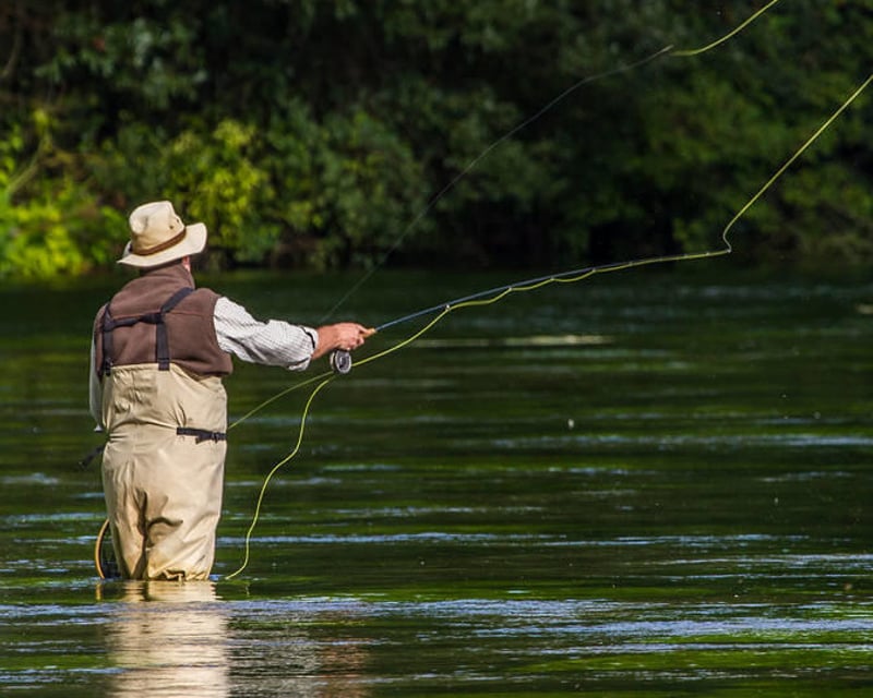 Yellowstone National Park Fly Fishing Guided Tour