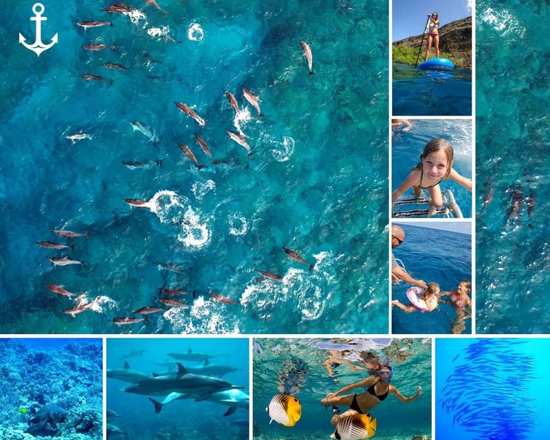 Kealakekua Bay Snorkel & Dolphin Watching Tour