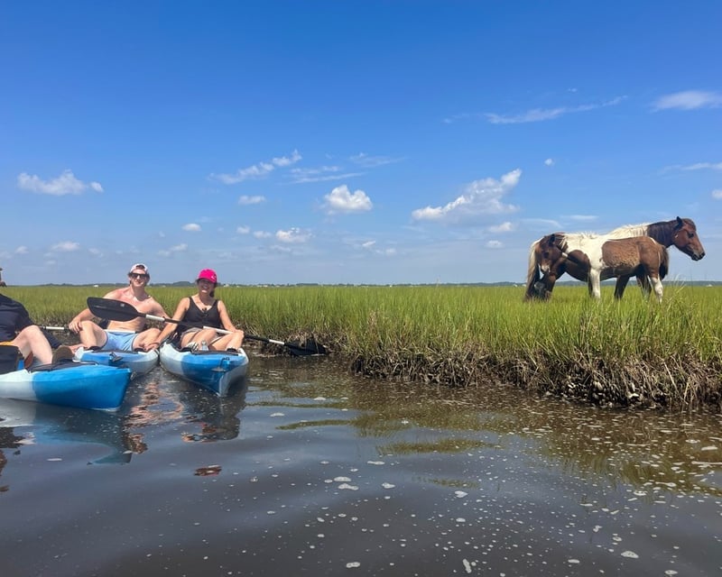 2-Hour Assateague Island Watersports Rental