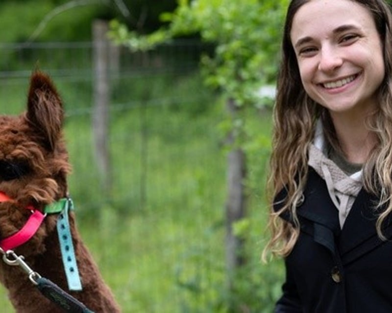 Private Alpaca & Llama Trek in Pleasant Valley, NY