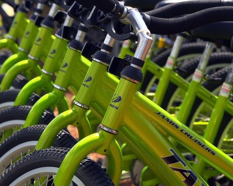 Beach Cruiser Bike Rental on Singer Island