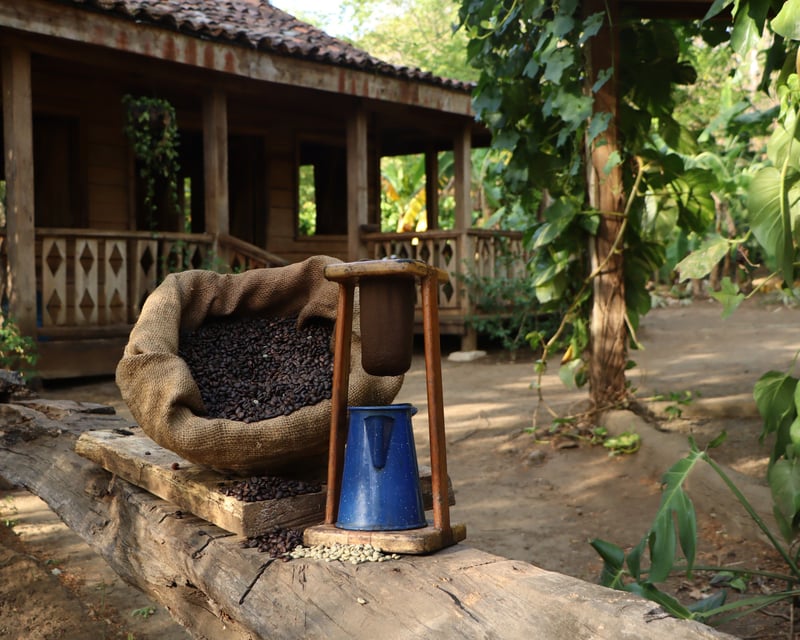 Costa Rican Cultural Tour at Diamante Eco Adventure Park