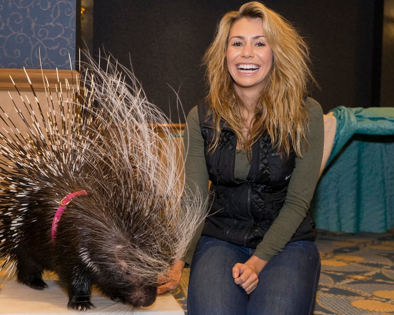 Private Porcupine Meet & Greet at Downtown Aquarium Denver