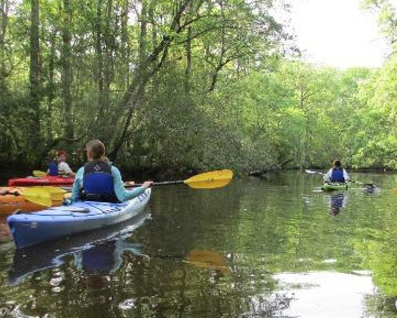 2-Hour Blackwater Kayak Tour in Francis Marion